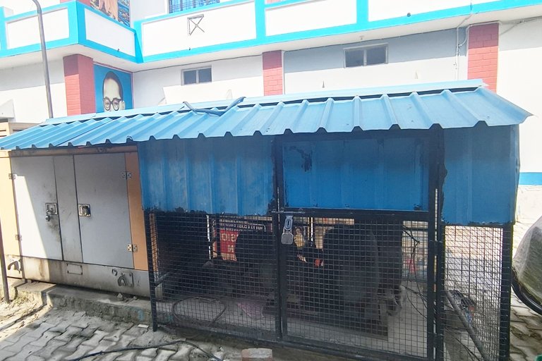 generator
